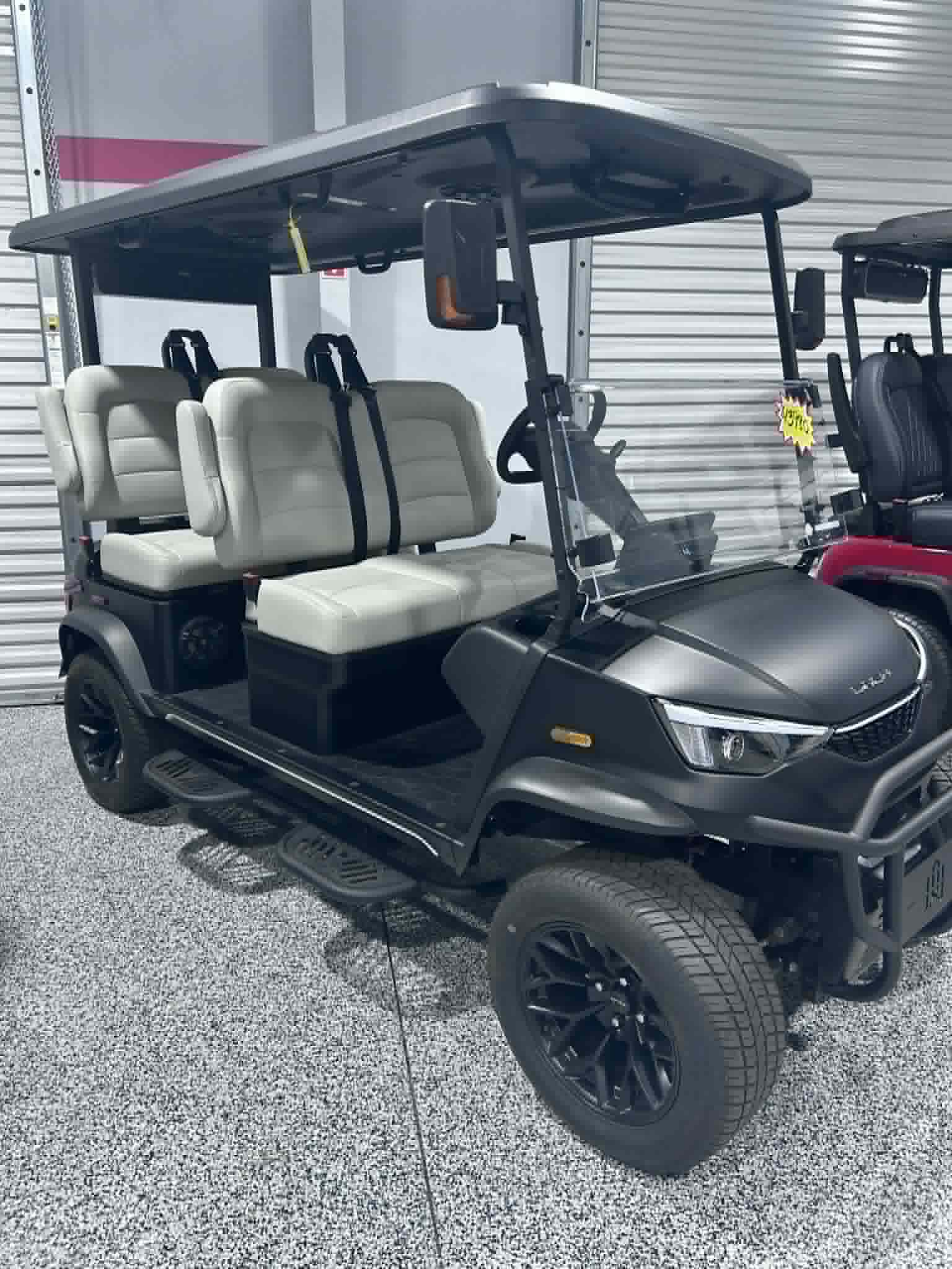 DACH EV LITHIUM CART