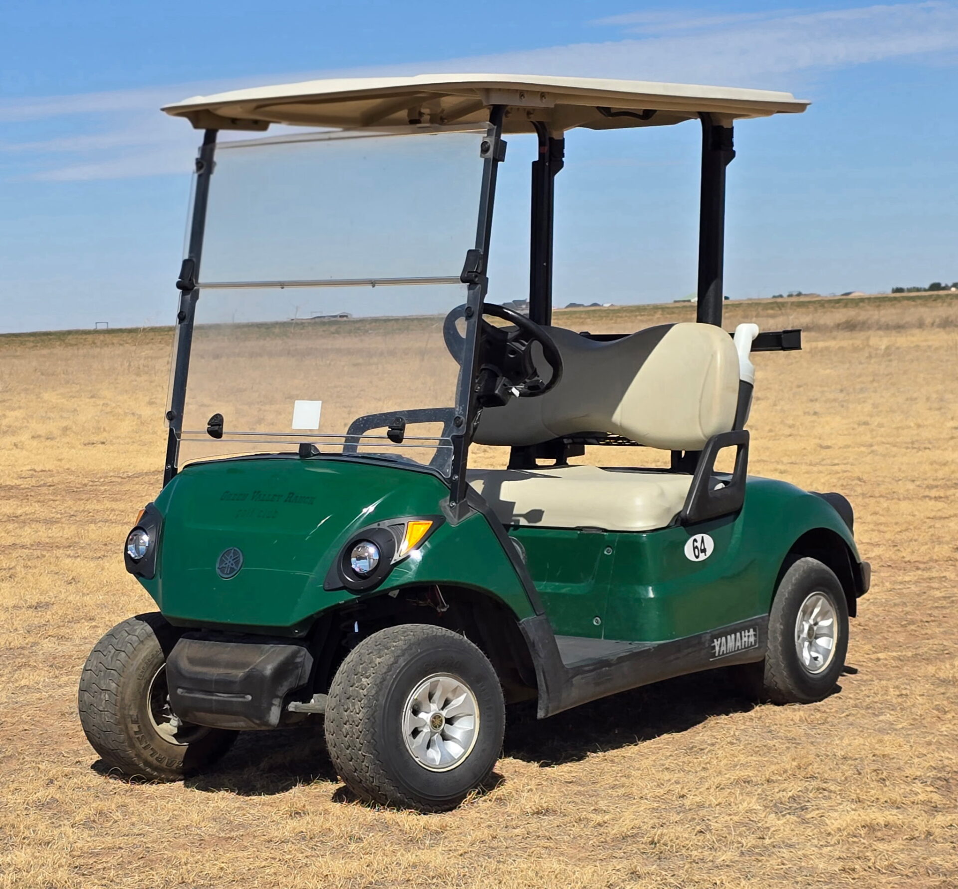 2018 Yamaha Drive2