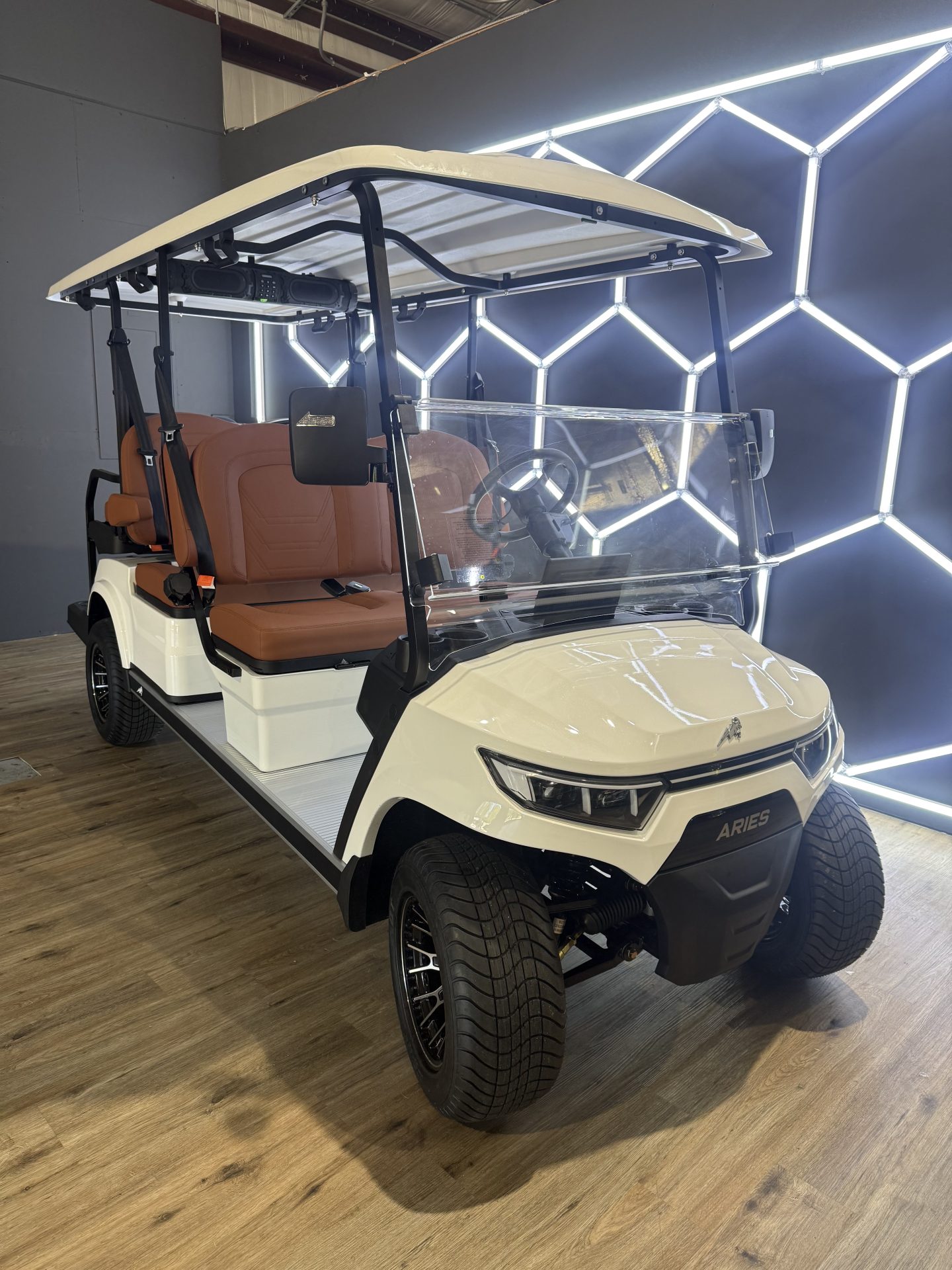 2026 Aries EV C6