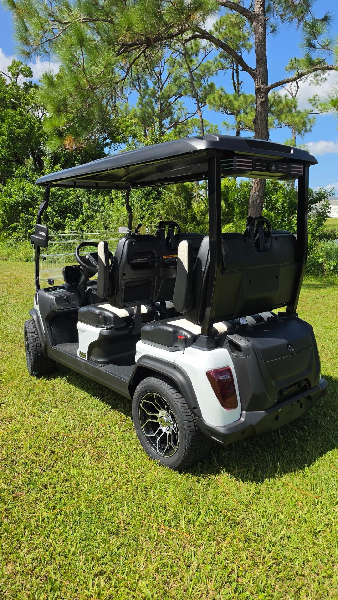 Matts Custom Golf Carts - Punta Gorda