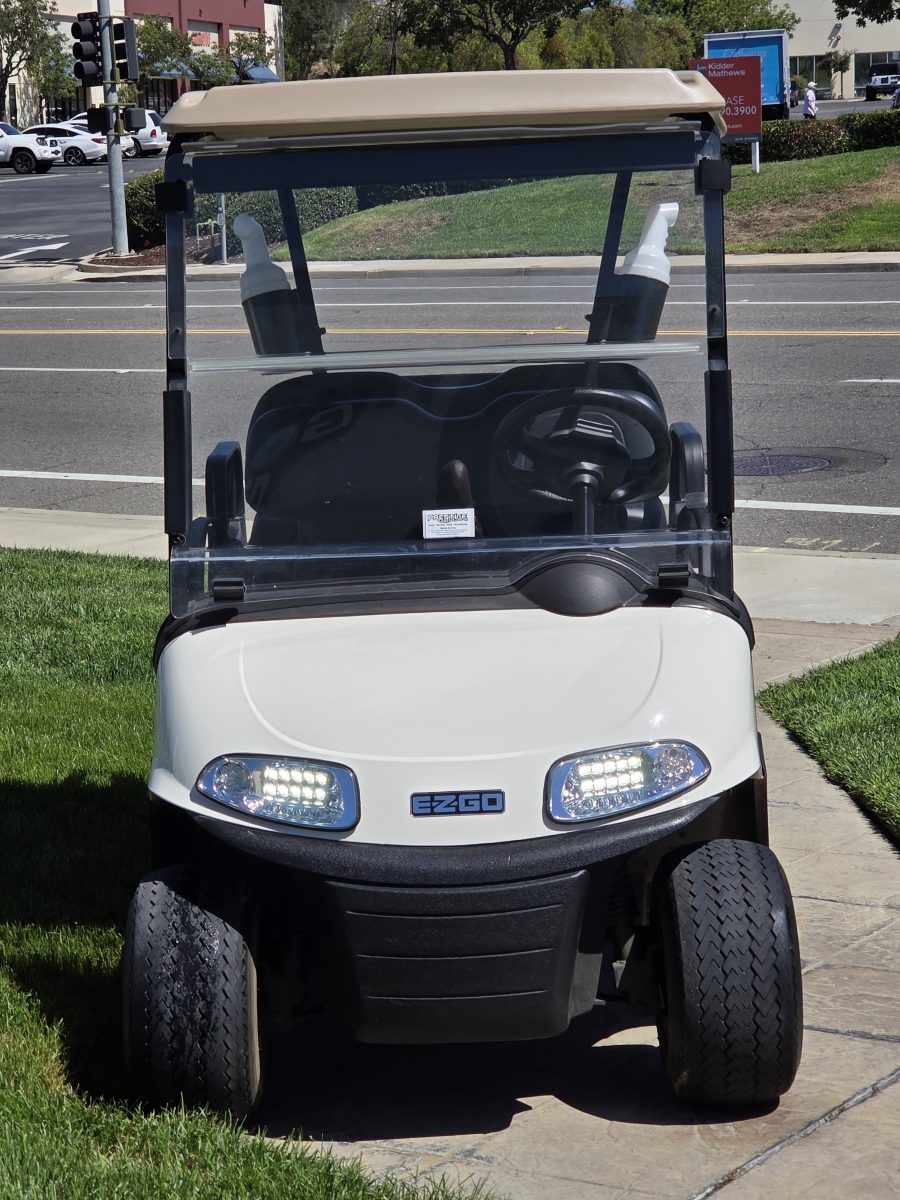 2018 EZGO Freedom photo 3