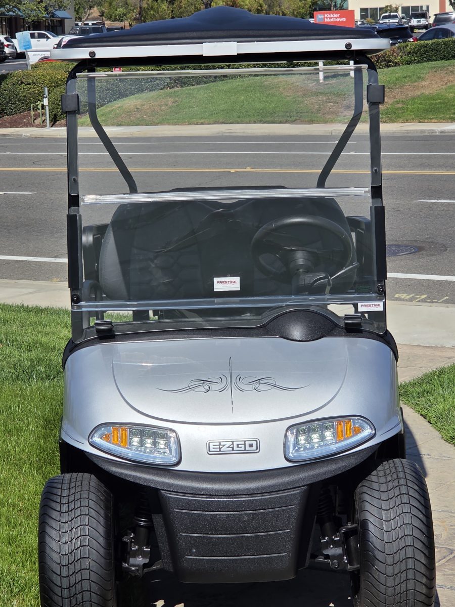 2020 EZGO Freedom photo 3