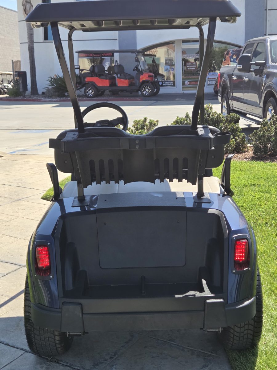 2021 EZGO Freedom photo 4