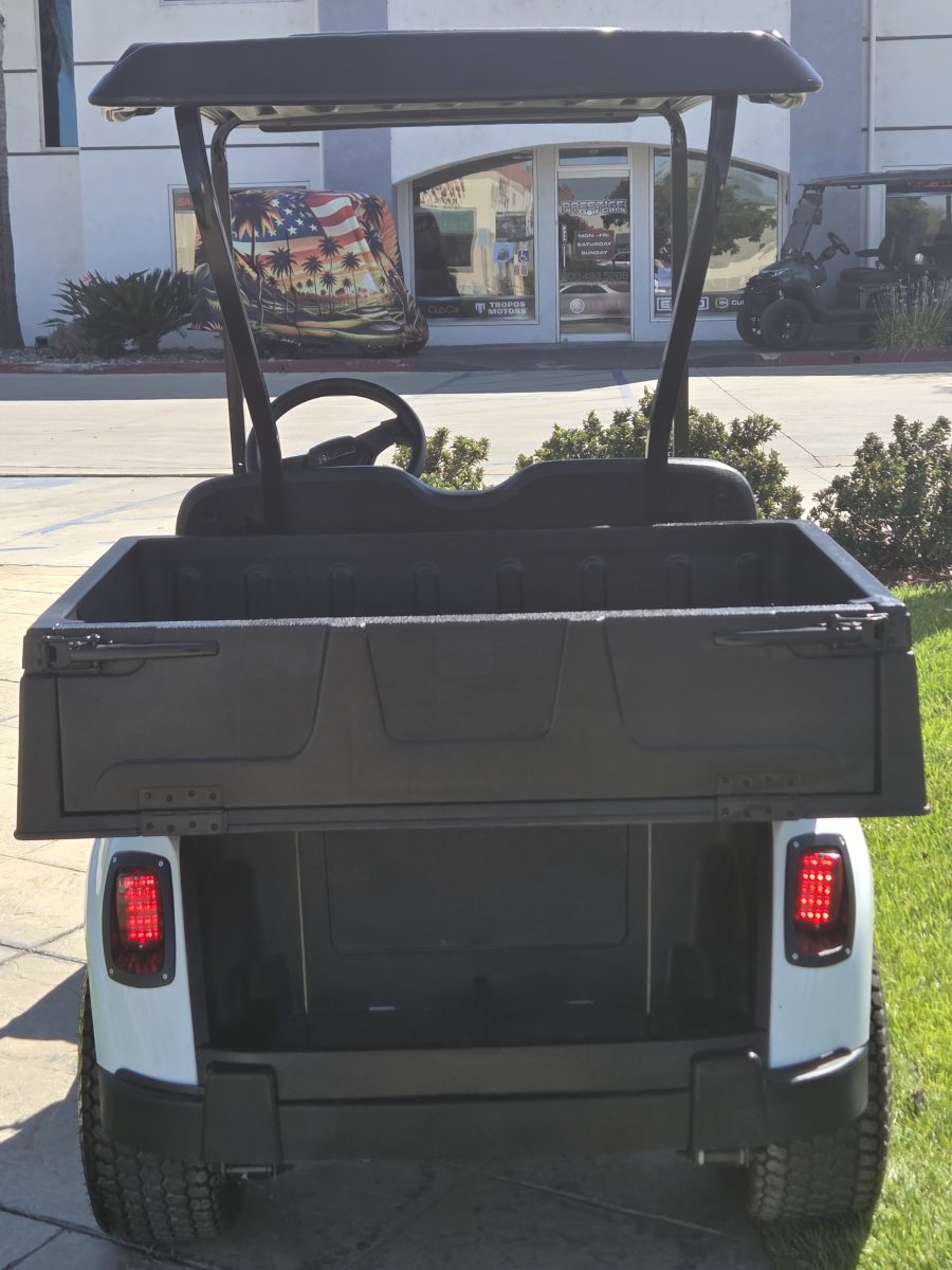 2021 EZGO Freedom photo 4