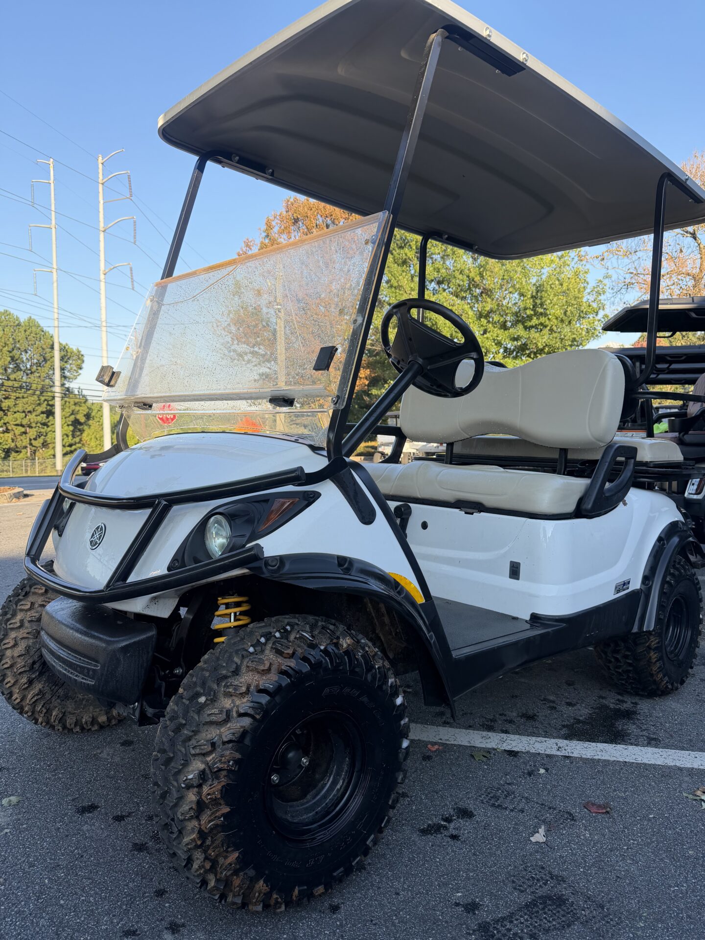 2010 Yamaha Drive