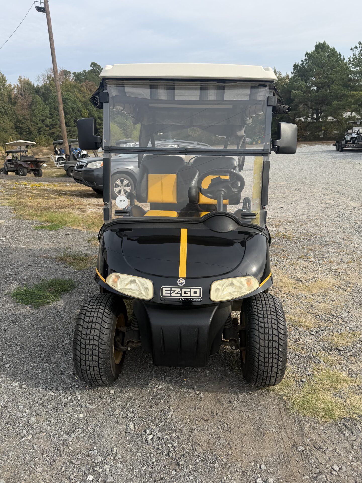 2008 EZGO RXV photo 4
