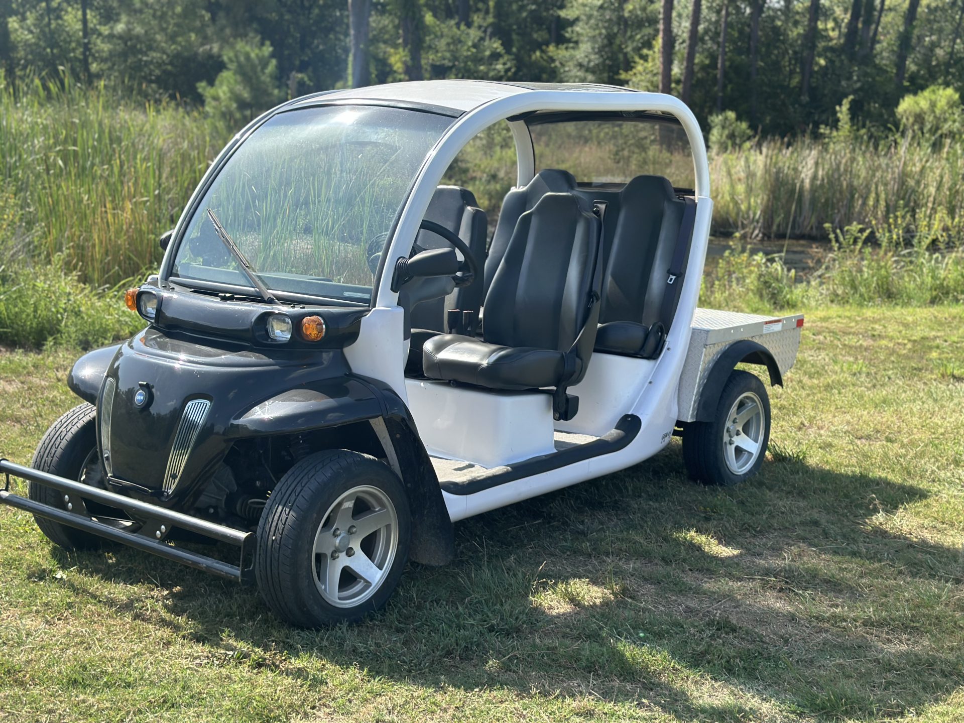 Polaris  Gem Cart