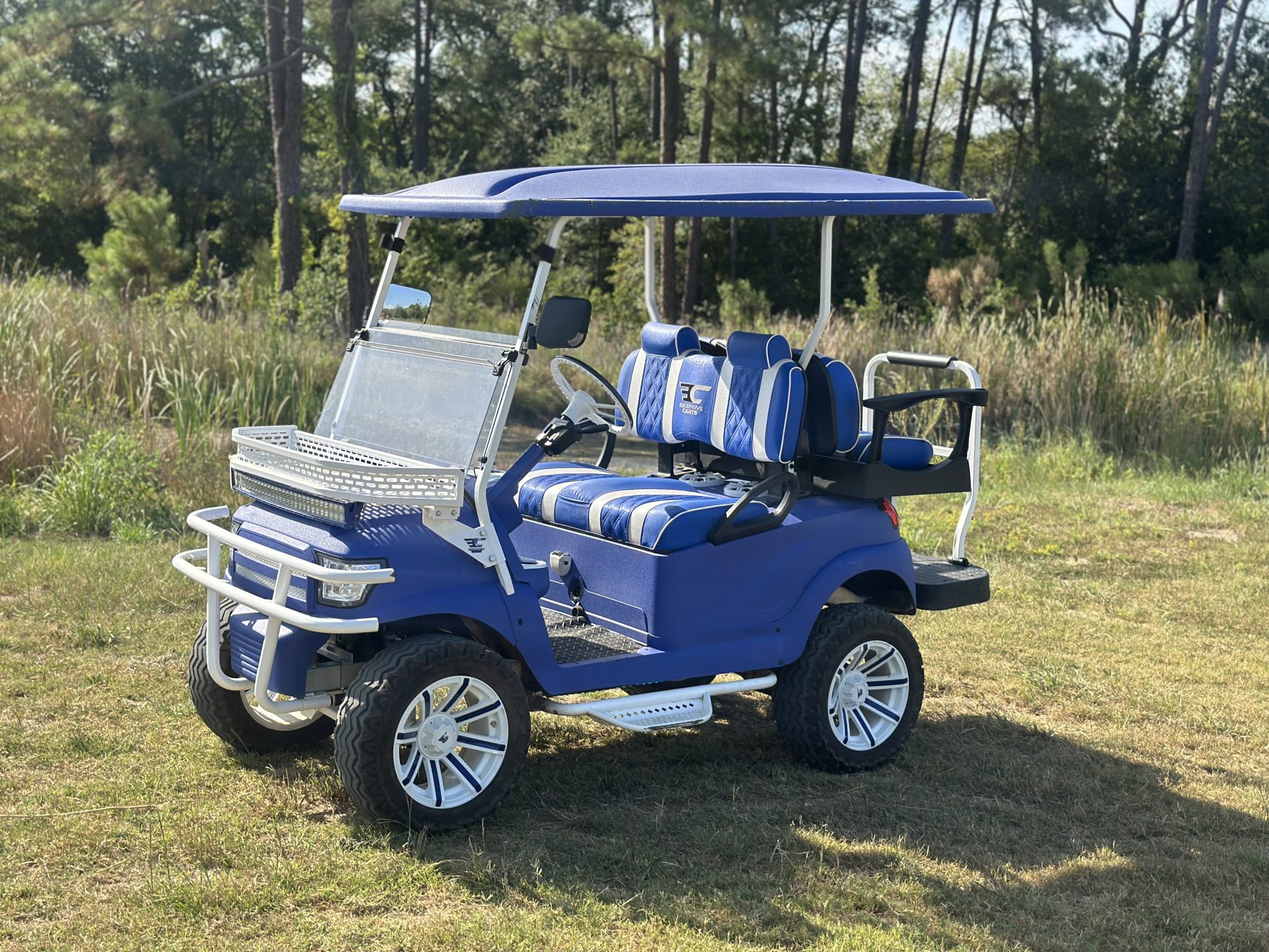 Custom club car 2016