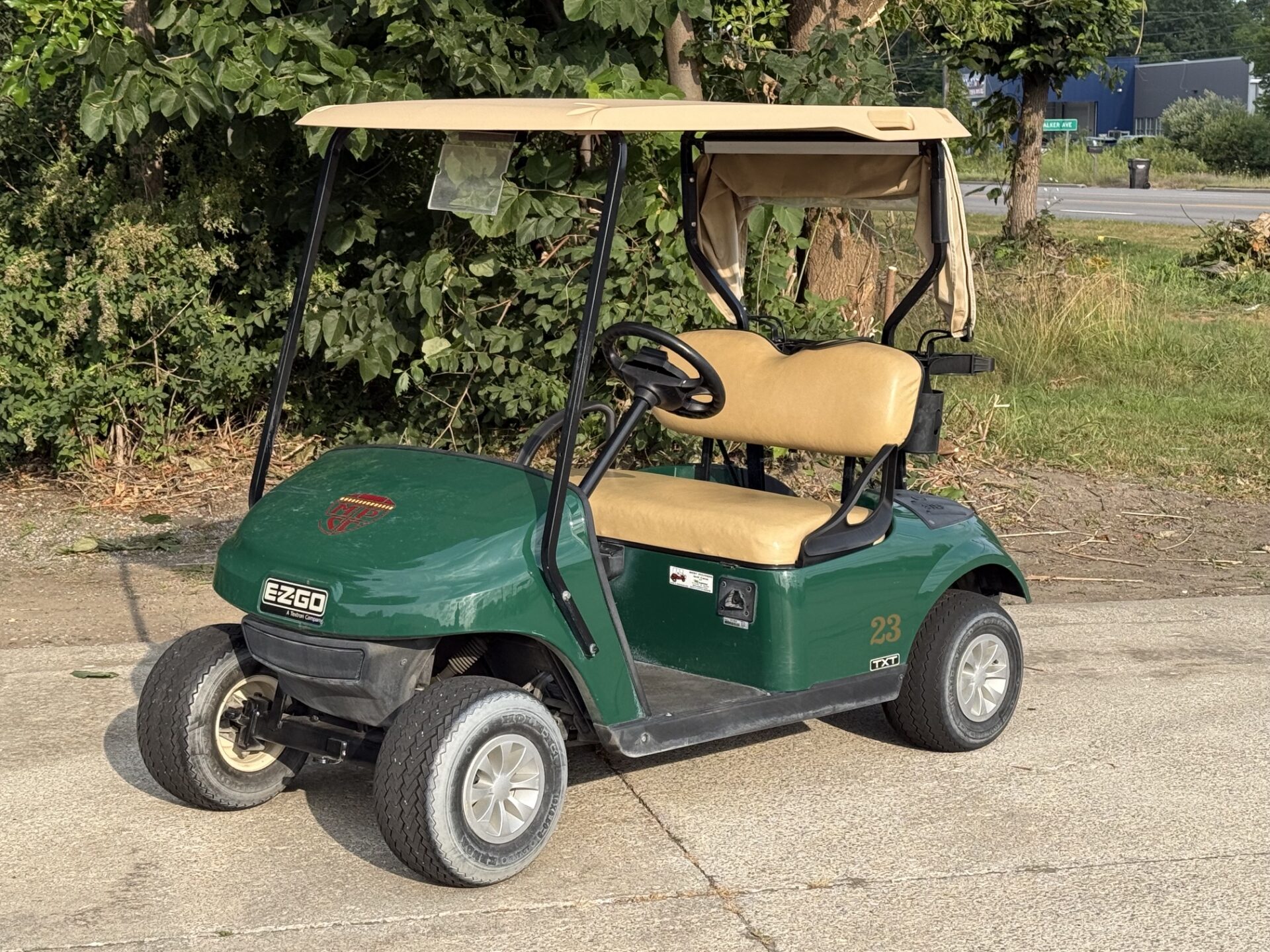 2018 EZGO TXT