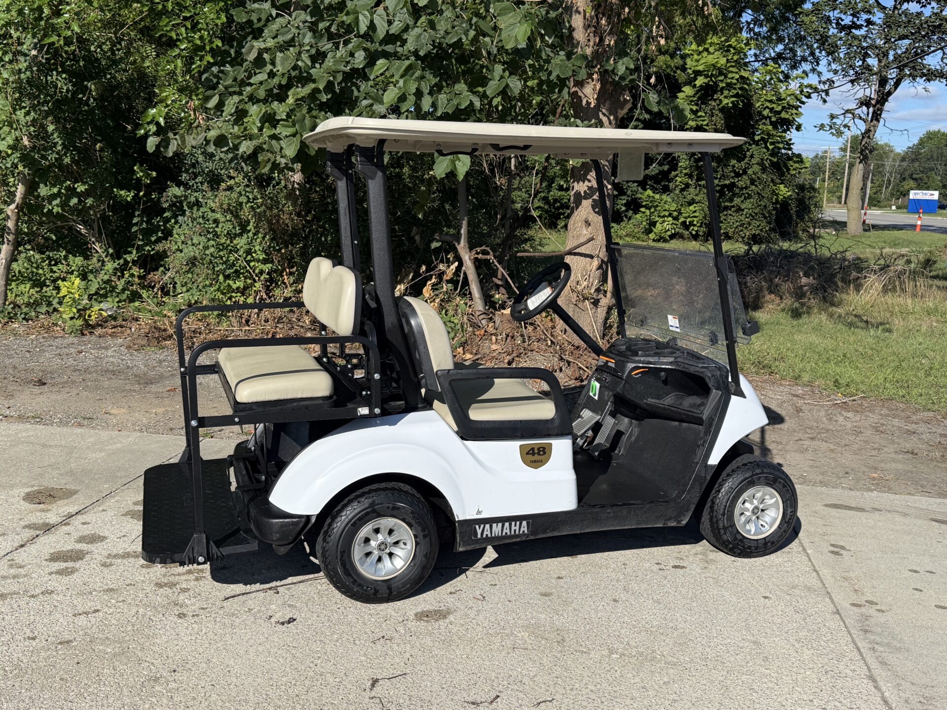 2018 Yamaha Drive
