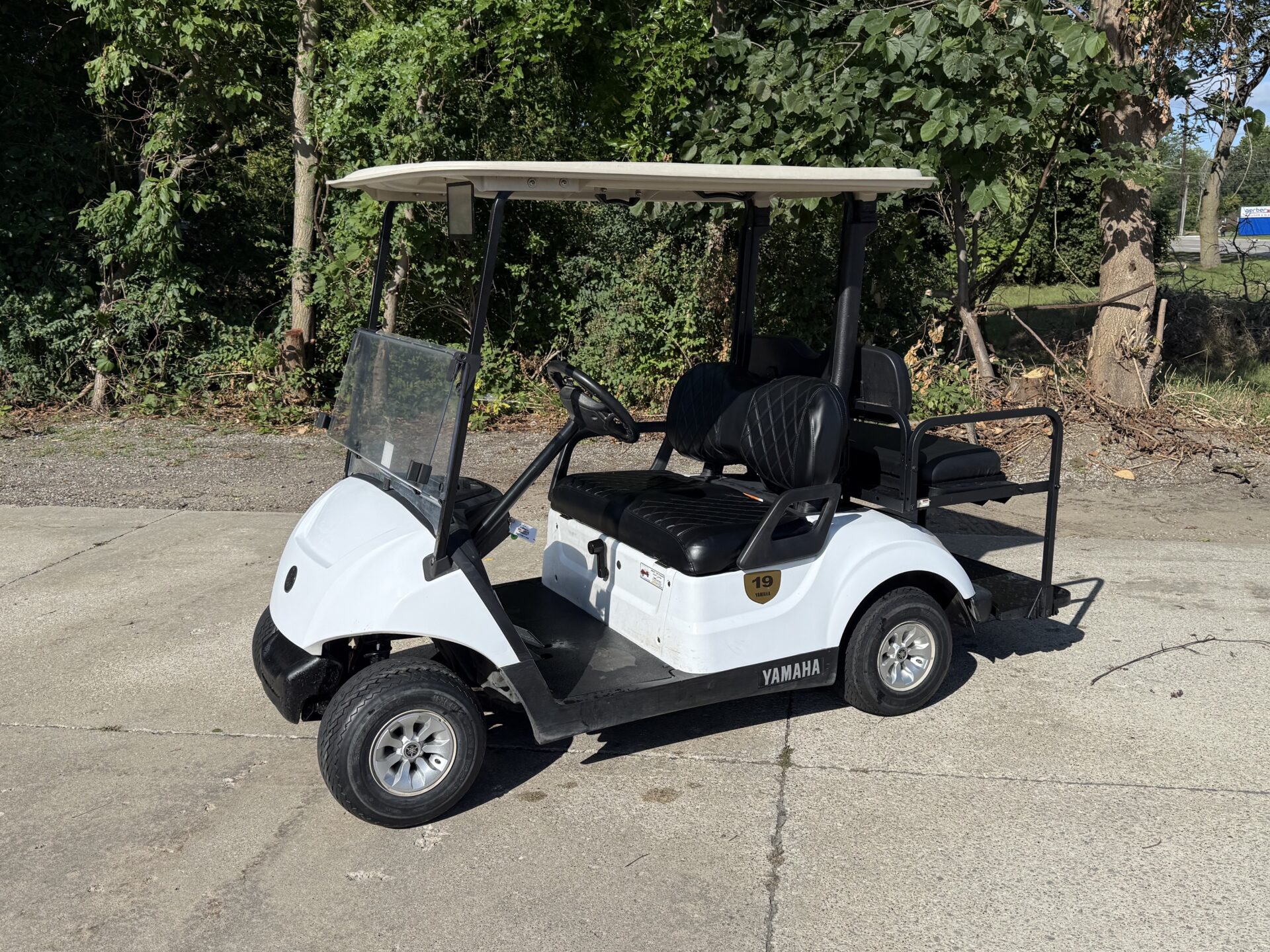 2018 Yamaha Drive2